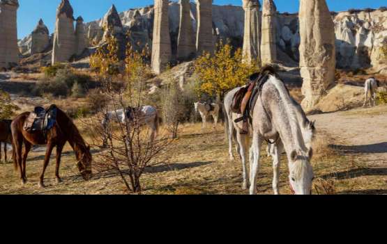 2 Dias CAPADÓCIA EXPRESS I (Q-LTD-3)